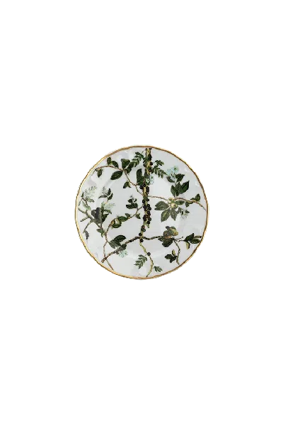 Tania Bulhões Bread Plate Passaros Do Brasil In White