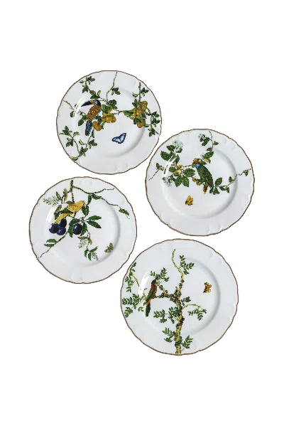 Tania Bulhões Dessert Plate Passaros Do Brasil Set Of Four In White