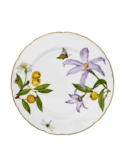 Tania Bulhões Dinner Plate Alma Do Cerrado In White
