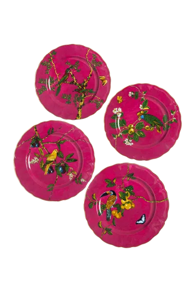 Tania Bulhões Dinner Plate Passaros Do Brasil Pink Set Of Four