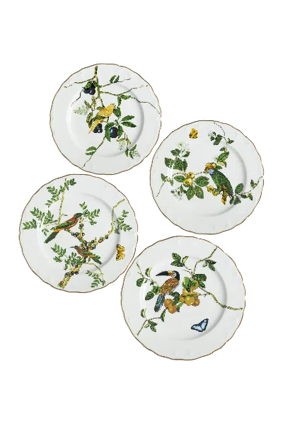 Tania Bulhões Dinner Plate Passaros Do Brasil Set Of Four In Multi