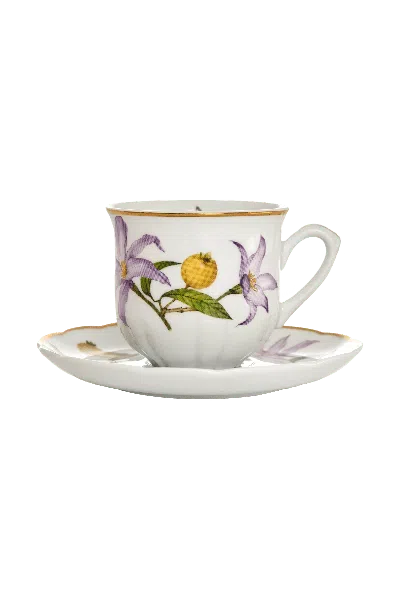 Tania Bulhões Espresso Cup And Saucer Alma Do Cerrado In Multi