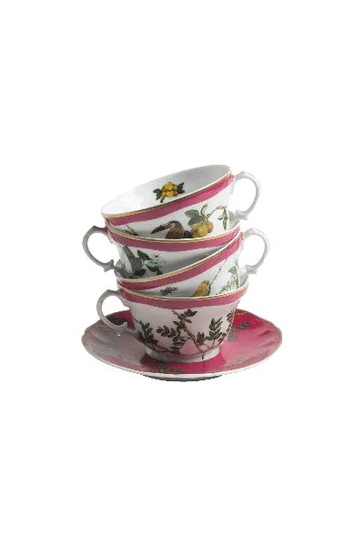 Tania Bulhões Tea Cup And Saucer Passaros Do Brasil Pink Set Of Four In Multi