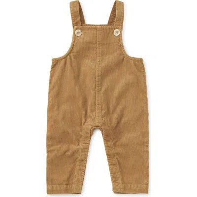 Tea Collection Corduroy Baby Overalls In Brown