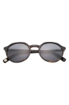 Ted Baker 51mm Polarized Round Sunglasses In Tortoise