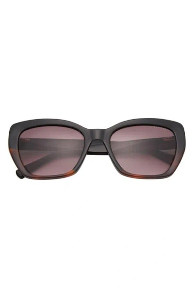Ted Baker 55mm Cat Eye Sunglasses In Black