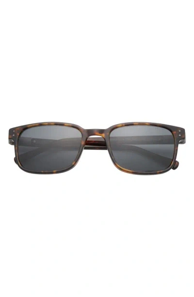 Ted Baker 55mm Polarized Square Sunglasses In Brown
