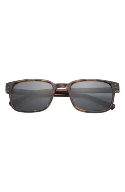 Ted Baker 55mm Polarized Square Sunglasses In Tortoise