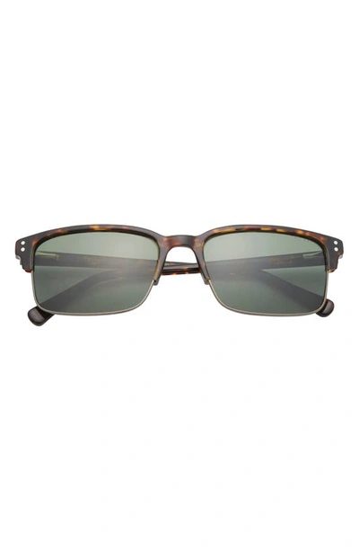 Ted Baker 55mm Polarized Square Sunglasses In Tortoise