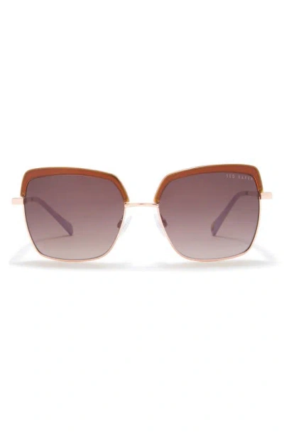 Ted Baker 55mm Square Sunglasses In Honey Tortoise