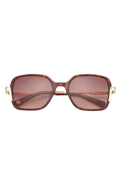 Ted Baker 55mm Square Sunglasses In Tortoise