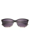Ted Baker 56mm Rectangular Sunglasses In Black