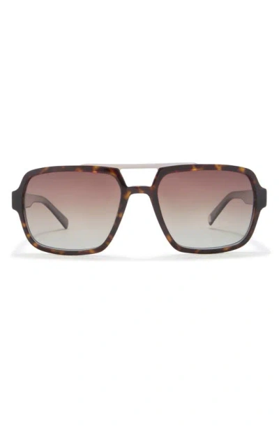 Ted Baker 59mm Polarized Navigator Sunglasses In Tortoise