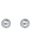 Ted Baker Soletia Solitaire Crystal Halo Stud Earrings In Silver Tone Clear Crystal