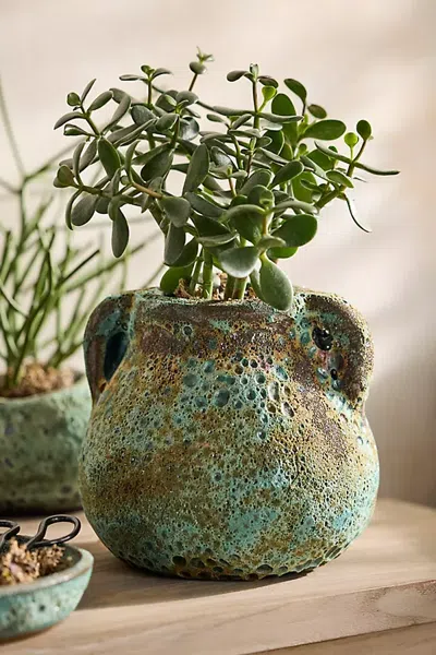 Terrain Barnacle Amphora Pot In Multi