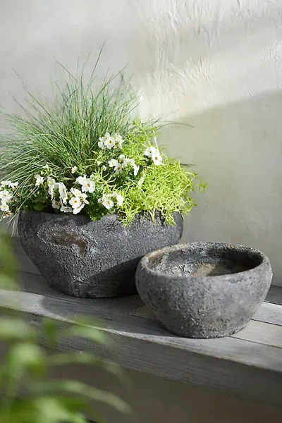 Terrain Barnacle Button Bowl Planter In Blue