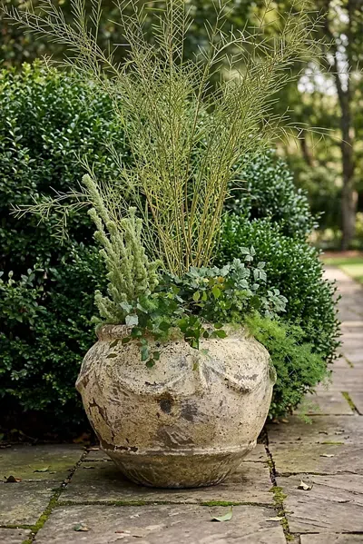 Terrain Barnacle Potpourri Planter In Neutral