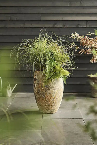 Terrain Barnacle Tall Egg Planter In Neutral
