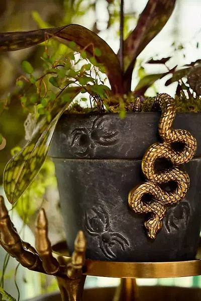 Terrain Brass Snake Pot Hanger In Gold