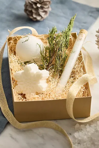 Terrain Cypress Holiday Bath Gift Set In Multicolor