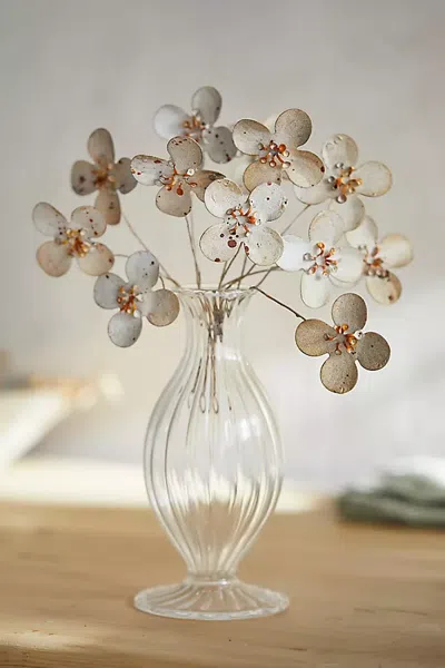 Terrain Dogwood Flowers Iron Bundle In Transparent