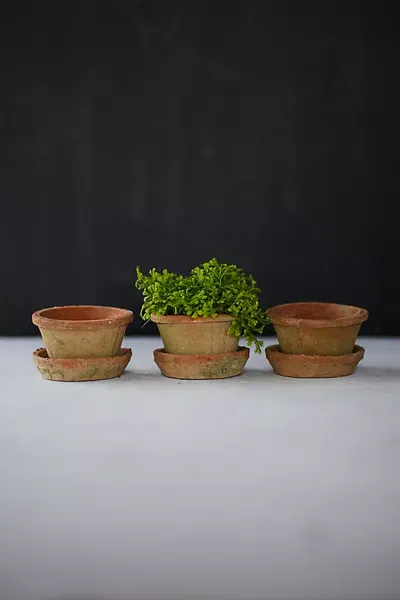 Terrain Earth Fired Clay Thin Rim Pot + Saucer, Set Of 3 In Brown