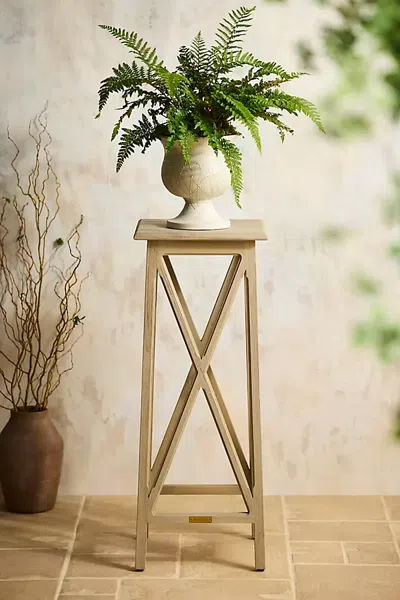 Terrain Farmhouse Teak Plant Stand In Neutral