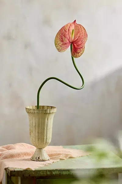 Terrain Faux Anthurium Stem In Multi