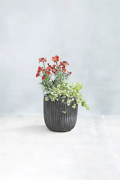 Terrain Fiber Concrete Barrel Pot In Black