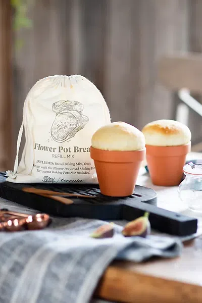 Terrain Flower Pot Bread Making Kit, Set Of 4 In Multi