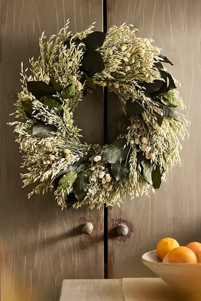 Terrain Green Dream Dried Wreath In Multi
