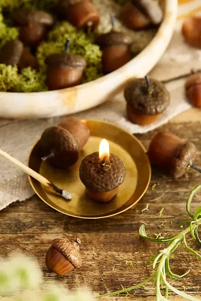 Terrain Happy Organics Acorn Beeswax Candles, Set Of 10 In Gold