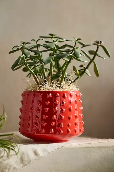 Terrain Hobnail Stoneware Planter In Red