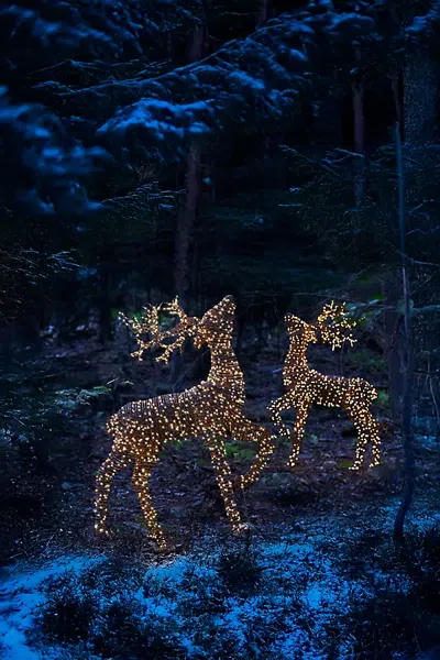 Terrain Illuminated Vine Prancing Reindeer In Blue