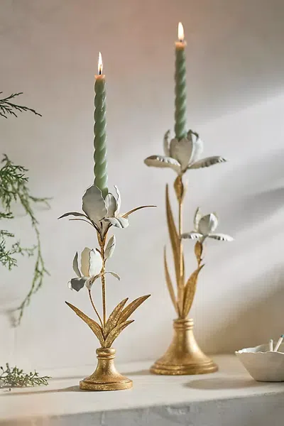 Terrain Iris Taper Candle Holder In Gold