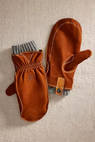 Terrain Lined Nubuck Mittens In Purple