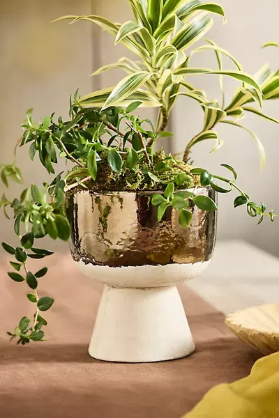 Terrain Metallic Colorblock Ceramic Urn Planter In Multi