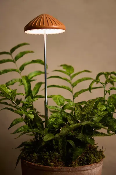 Terrain Mushroom Led Grow Light In Brown