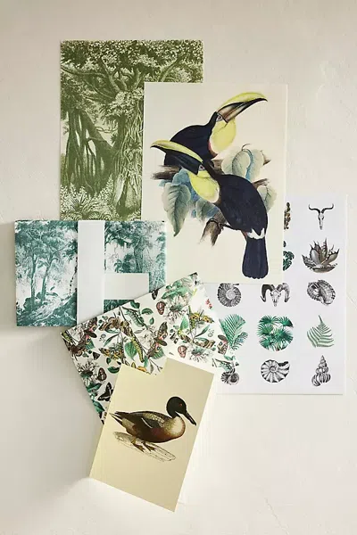 Terrain Natural History Stationery Set In Multi