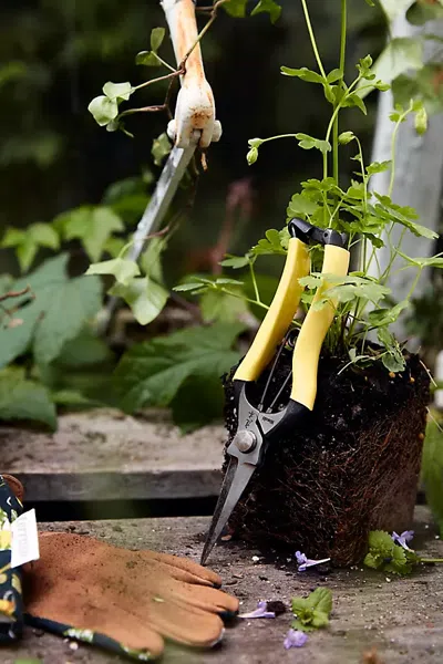 Terrain Niwaki Lightweight Hybrid Snips In Yellow