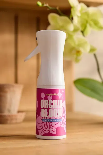 Terrain Orchid Bloom Spray In Multicolor