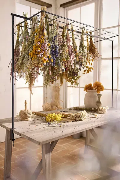 Terrain Over-the-table Trellis In Multi