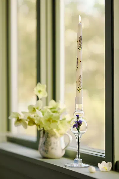 Terrain Painted Floral Taper Candles, Set Of 2 In White