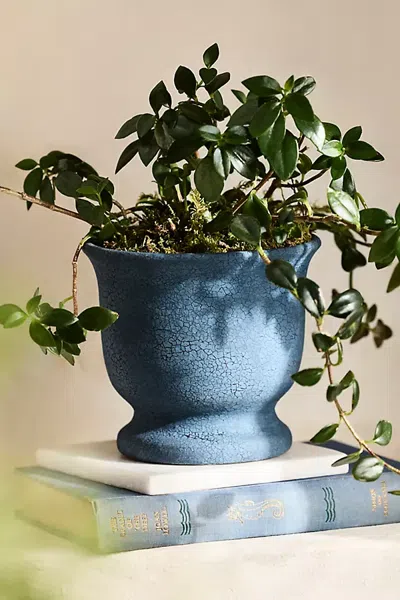Terrain Parris Fluted Urn Planter In Green