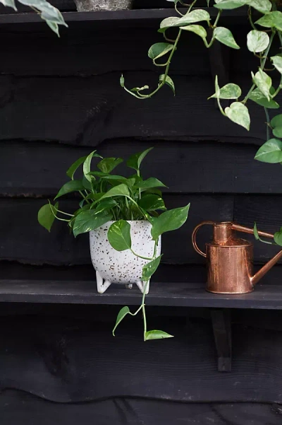 Terrain Pothos Marble, Speckled Ceramic Pot In White