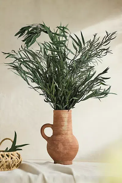Terrain Preserved Eucalyptus Nicoly Bunch In Green