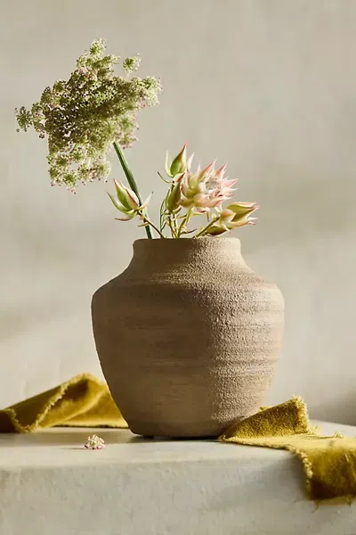 Terrain Raven Terracotta Vase In Brown