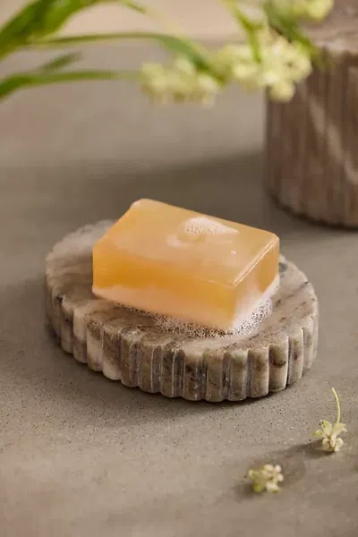 Terrain Scalloped Marble Soap Dish In Multi