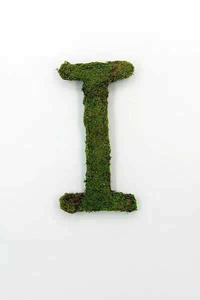 Terrain Sheet Moss Letter In Green