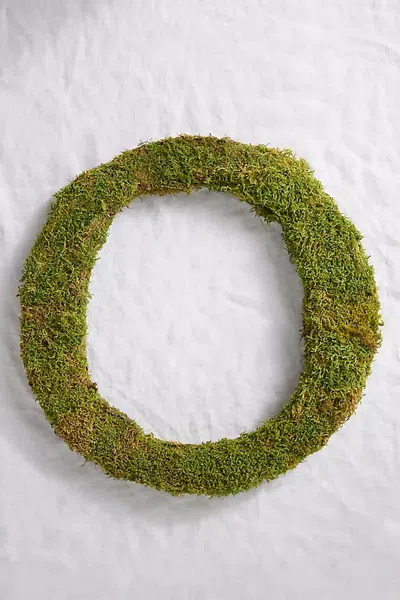 Terrain Sheet Moss Letter In Green